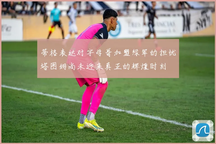 蒂格表达对字母哥加盟绿军的担忧塔图姆尚未迎来真正的辉煌时刻